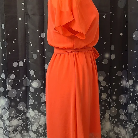 Express size SP coral dress - Picture 2 of 12